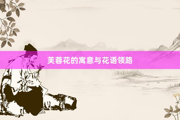 芙蓉花的寓意与花语领路