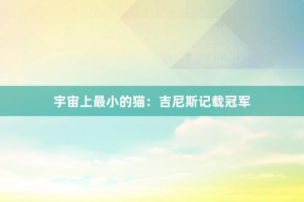 宇宙上最小的猫：吉尼斯记载冠军