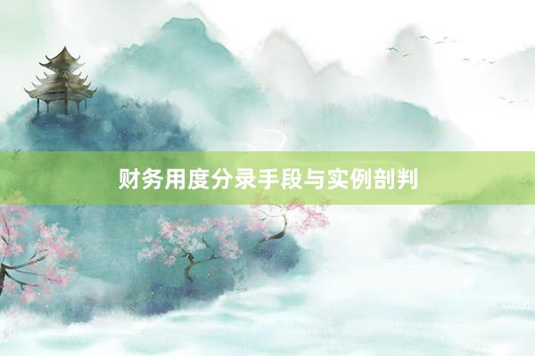 财务用度分录手段与实例剖判
