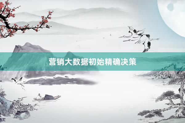 营销大数据初始精确决策